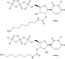 2'(3')-O-(6-Aminohexylcarbamoyl)uridine-5'-O-triphosphate (sodium salt) (2’(3’)-AHC-UTP)