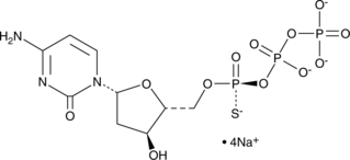 Sp-2'-Deoxycytidine-5'-O-(1-thiotriphosphate) (sodium salt) (Sp-dCTP-α-S)