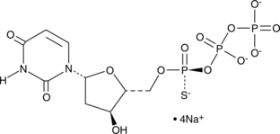 Sp-2'-Deoxyuridine-5'-O-(1-thiotriphosphate) (sodium salt) (Sp-dUTP-α-S)