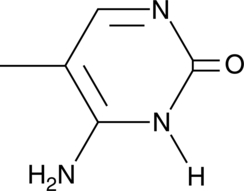 5-Methylcytosine (m5C, NSC 137776, CAS Number: 554-01-8)