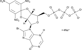 8-bromo TNP-ITP (sodium salt) (8-bromo TNP-Inosine 5’-triphosphate)