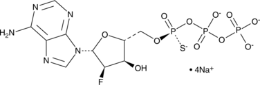 Sp-2'-Deoxy-2'-fluoroadenosine-5'-O-(1-thiotriphosphate) (sodium salt) (Sp-2’-fluoro-dATP-α-S)