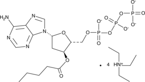 2'-Deoxy-3'-O-valeryladenosine-5'-O-triphosphate (triethylammonium salt) (2'-deoxy-3'-Val-dATP)