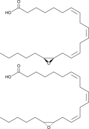 (±)16,17-EDT ((±)-Dihomo-16,17-EET, (±)16,17-EpDoTrE, (±)16,17-Epoxydocosatrienoic Acid, CAS Number: 351533-79-4)