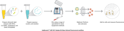 LipidLaunch™ LNP-MC3 Uptake Kit (Near-Infrared Fluorescence)