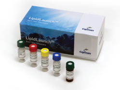 LipidLaunch™ LNP-MC3 Uptake Kit (Green Fluorescence)