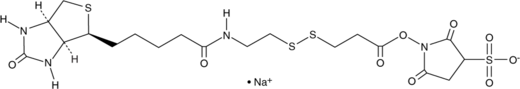 Sulfosuccinimidyl 3-[[2-(Biotinamido)ethyl]dithio]propionate (sodium salt) (Sulfo-NHS-SS-biotin, CAS Number: 325143-98-4)