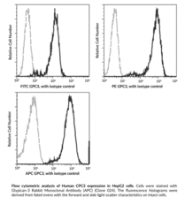 Glypican-3 Rabbit Monoclonal Antibody (APC) (Clone 024) (GPC3, MXR7, OCI-5)