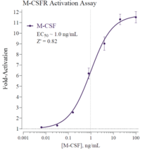 Human Macrophage Colony-Stimulating Factor Receptor Reporter Assay System