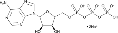 Adenosine 5'-triphosphate (sodium salt) (solution) (5'-ATP, ATP, NSC 20268, CAS Number: 987-65-5)