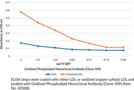 Oxidized Phospholipid Monoclonal Antibody (Clone 509)