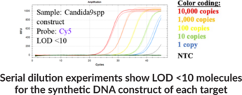 Candida genus qPCR Assay