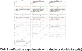 Candida M1 (Bio-Rad) Multiplexed qPCR Assay (CAN1)