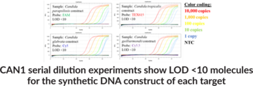 Candida M1 (Bio-Rad) Multiplexed qPCR Assay