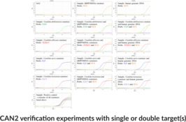 Candida M2 (Bio-Rad) Multiplexed qPCR Assay