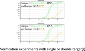 COVID N1P RT-qPCR Assay (Severe Acute Respiratory Syndrome Coronavirus 2)