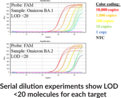 COVID N1P RT-qPCR Assay