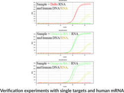 COVID N1P-N2P RT-qPCR Assay (Severe Acute Respiratory Syndrome Coronavirus 2)