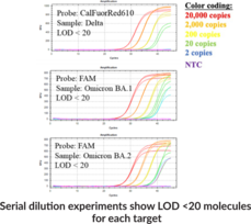 COVID N1P-N2P RT-qPCR Assay