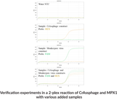 CrAssphage qPCR Assay