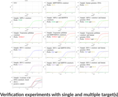 STI6 (Lesions) (Bio-Rad) Multiplexed qPCR Assay