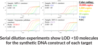 STI6 (Lesions) (Bio-Rad) Multiplexed qPCR Assay