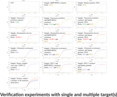 STI8 (Genital ulcer) (Bio-Rad) Multiplexed qPCR Assay