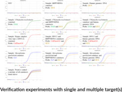 STI9 4-color (Bio-Rad) Multiplexed qPCR Assay