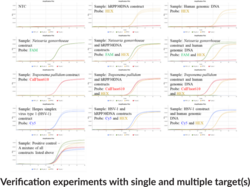 STI10 4-color (QuantStudio) Multiplexed qPCR Assay