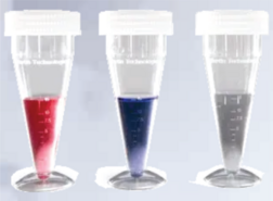 Sterile cones - (by 50)