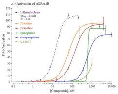 Human Adrenoceptor Alpha 1B Reporter Assay System
