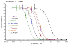Human Adrenoceptor Alpha 1B Reporter Assay System