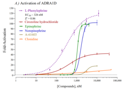 Human Adrenoceptor Alpha 1D Reporter Assay System (ADRA1D)