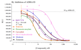 Human Adrenoceptor Alpha 1D Reporter Assay System