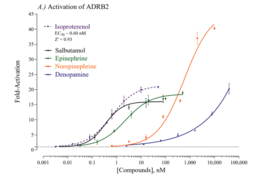 Human Adrenoceptor Beta 2 Reporter Assay System