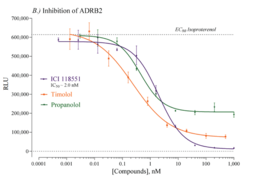 Human Adrenoceptor Beta 2 Reporter Assay System