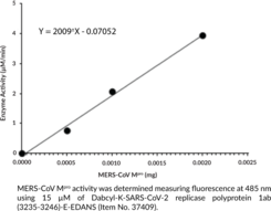 MERS-CoV Mpro (recombinant)