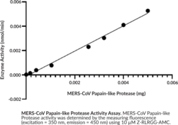 MERS-CoV Papain-like Protease (recombinant)