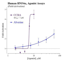 Human Hepatocyte Nuclear Factor 4 alpha Reporter Assay System