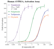 Human Arginine Vasopressin Receptor 1A Reporter Assay System (AVPR1A)