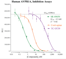 Human Arginine Vasopressin Receptor 1A Reporter Assay System
