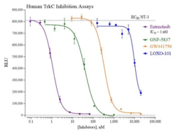 Human Tropomysin Receptor Kinase C Reporter Assay System