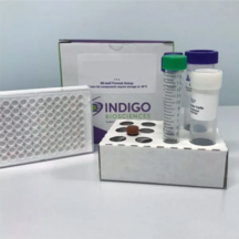 Human Tropomysin Receptor Kinase C Reporter Assay System