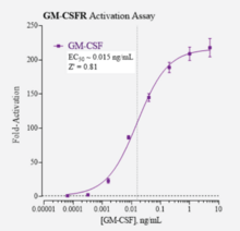 Human Granulocyte-Macrophage Colony-Stimulating Factor Receptor Reporter Assay System (CSF2R, GM-CSFR)