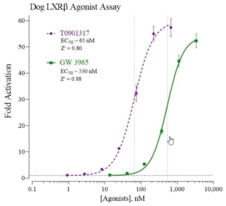 Dog Liver X Receptor, Beta Reporter Assay System (dLXRβ)