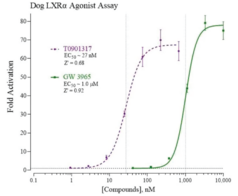 Dog Liver X Receptor, Alpha Reporter Assay System