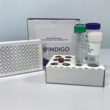 Estrogen Receptor Bioassay