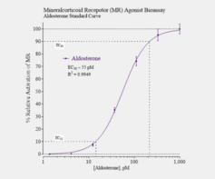 Mineralocorticoid Receptor Bioassay