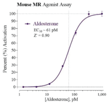 Mouse Mineralocorticoid Receptor Reporter Assay System (Mouse MR, nr3c2)