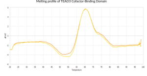 TEAD3 Cofactor-Binding Domain (human, recombinant)